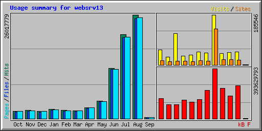 Usage summary for websrv13
